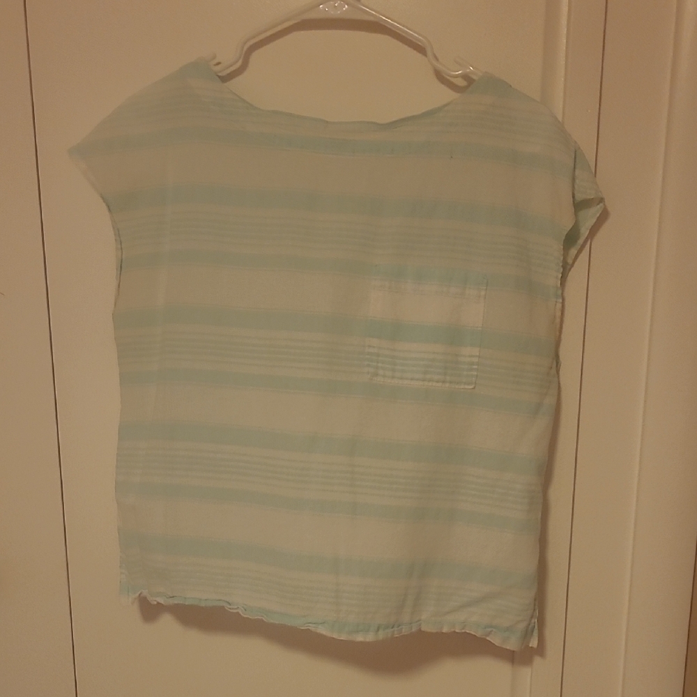 Patagonia Light Blue and White Striped Shirt